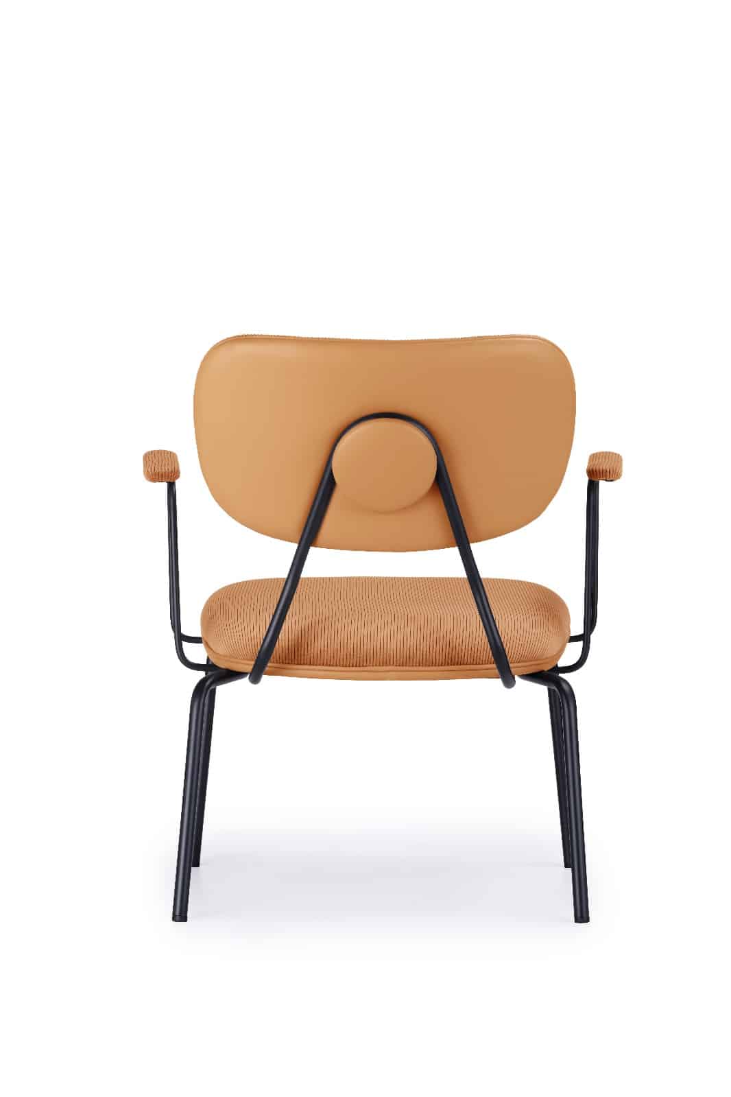 whatsapp image 2025-07-27 at 07.31.51 (2)