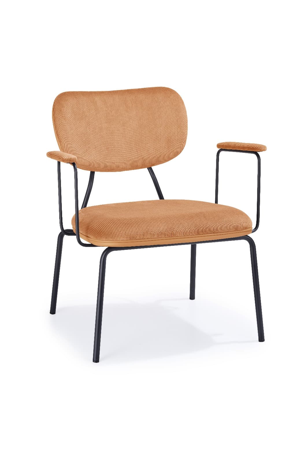 whatsapp image 2025-07-27 at 07.31.51