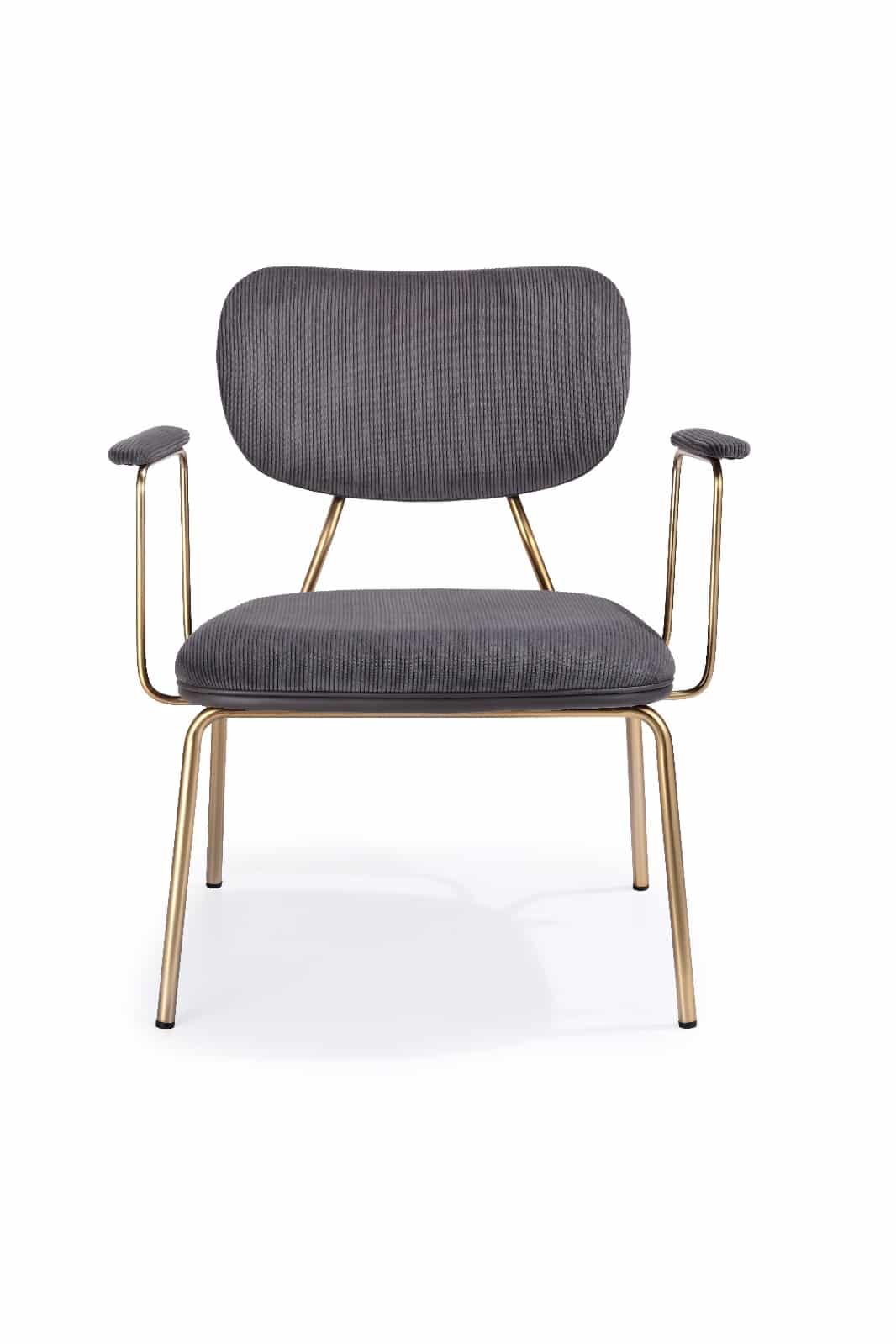 whatsapp image 2025-07-27 at 07.33.45 (1)