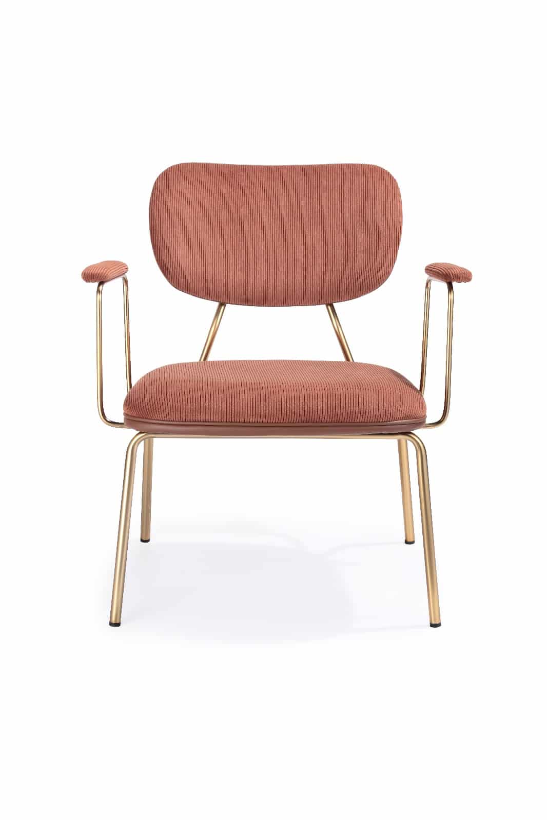 whatsapp image 2025-07-27 at 07.33.45